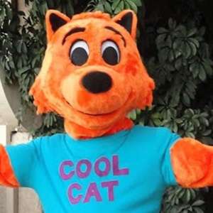 Cool Cat