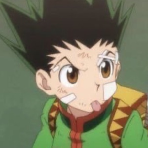 Gon Freecss