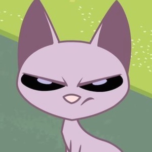 Mr. Kat