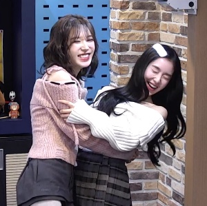 WenRene (Wendy/Irene)