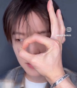 Seungin puppy tt