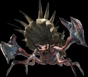 Daimyo Hermitaur