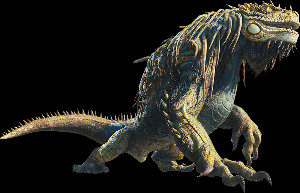 Great Jagras