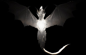 Old Fatalis