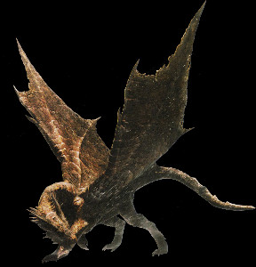 Rusted Kushala Daora