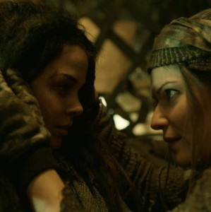 diytavia (diyoza/octavia)