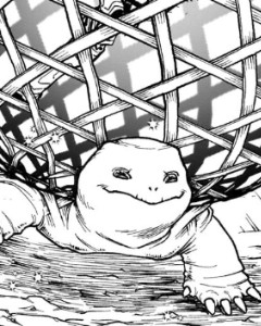 Tortle