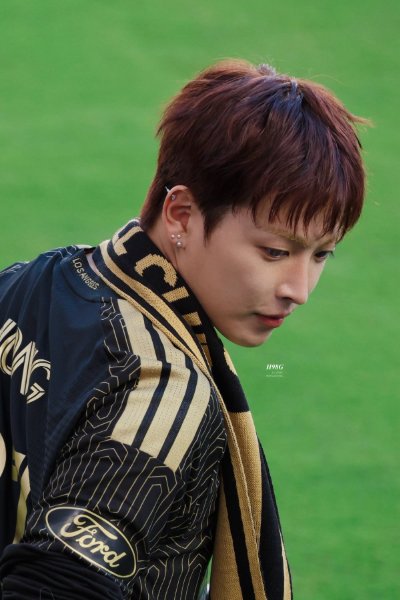 reddish brown
