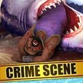 Shark Attack!