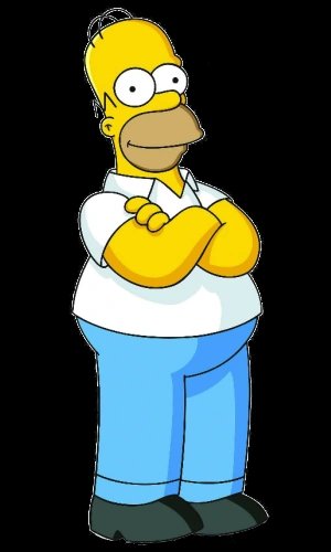 Homer Jay Simpson | The Simpsons