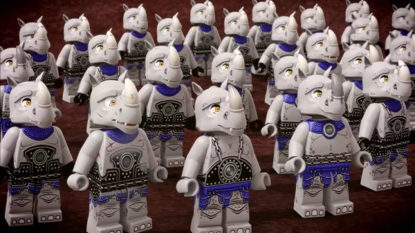 Rhino Tribe