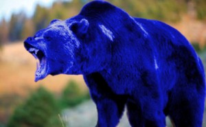 L'Ours Bleu