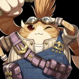 Tora