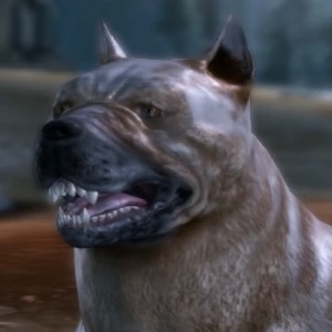 Barkspawn