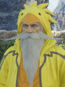 Chocobo Sage