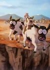 Cow Stampde