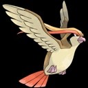 pidgeot-ygyh4y-thumb