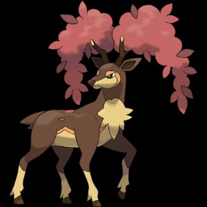 Autumn Sawsbuck