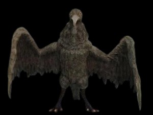 Larugeus