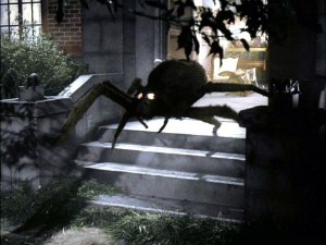 Tarantula