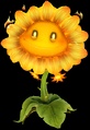 Fire Flower