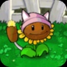 Kitty Sunflower