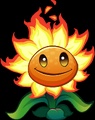 Molten Sunflower