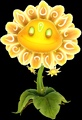 Mystic Flower