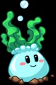 Oxygen Algae