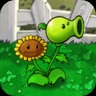 Pea Sunflower