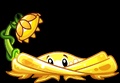 Shine Vine