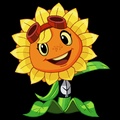 Solar Flare