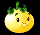 Solar Tomato