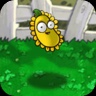 Sun Bean (Original Edition)