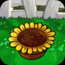 Sun Flower Pot