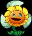 Whirlwind Sunflower