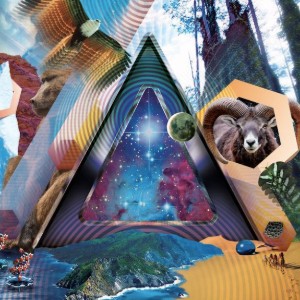Universal Pulse