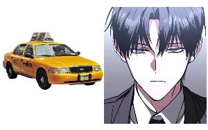 TaxidriverxSoleum