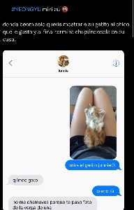Solo quería mostrar el gatito