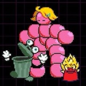 Innapropriate Recycling
