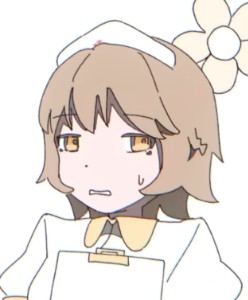 nurse robo type t
