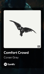 Comfort Crowd