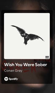 Wish You Were Sober