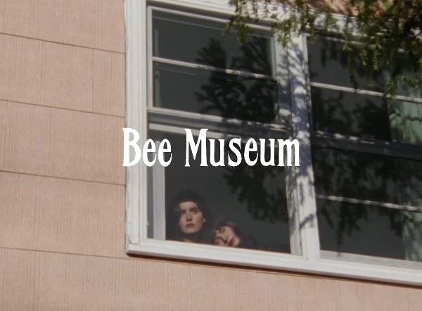 Bee Museum