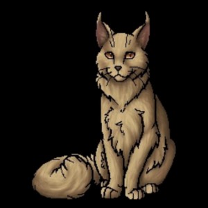 Curlfeather