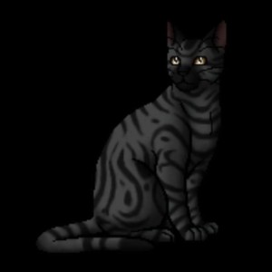 Darkstripe