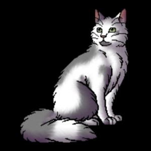 Fognose