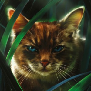 Hawkfrost