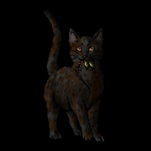 Hawkheart
