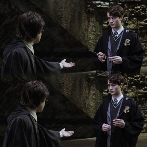 Harry/Tom Riddle